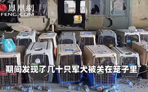 美军撤离阿富汗有多快？ 这么多狗都被抛弃了…