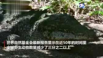 全球野生物种种群规模下降三分之二