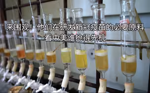来围观！他们在研发新冠疫苗的必要原料 看中美谁抢得先机