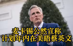 麦卡锡公然宣称计划年内在美晤蔡英文 且不排除窜台可能
