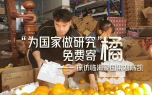 桔子界的鸿星尔克？与浙大学生的一段对话让这家网店订单暴涨20倍
