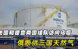 代价难以承受，法国和德意两国组队访问乌后，俄断供三国天然气