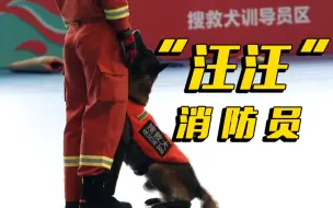 看上班后的“汪汪队”如何大展身手！