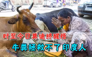 牛粪不能拯救印度人！莫迪终于醒悟，转头向“牛学”创始人开刀