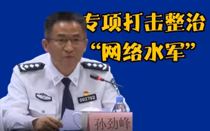 公安部专项打击整治“网络水军” ，今年侦办案件339起
