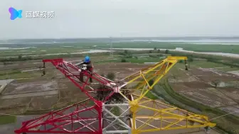 萌萌哒 东方白鹳宝宝铁塔上开通“直播间”
