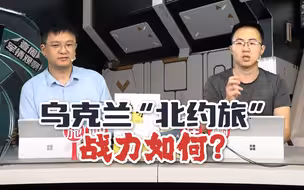 乌克兰“北约旅”战力如何？【直播节选】