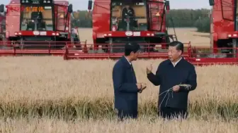 微视频丨握手