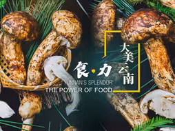 《大美云南》：惊艳味蕾的 “食·力”