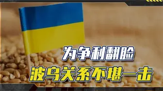 乌克兰去WTO告状波兰，因争夺利益昔日盟友反目成仇