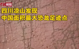四川凉山一铜矿内部发现中国面积最大恐龙足迹点