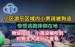 小区游乐区域内小男孩被狗追，惊慌逃跑摔倒在地！物业回应：小孩没被咬到，对狗主人进行了宣导