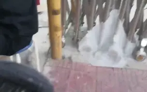 驾照“买卖分”再抬头，车管所周边“揽生意”！本端记者暗访还发现……
