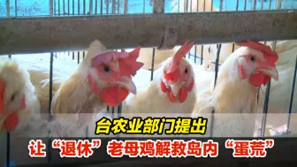 笑哭！台农业部门提出让“退休”老母鸡解救岛内“蛋荒”