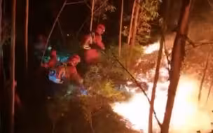 福建漳浦突发山火 消防员连夜赶往火场全线扑救 扑灭火线1300米