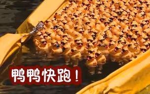 冲鸭！美国芝加哥举行橡皮鸭游泳赛 “冠军鸭”主人可得一辆SUV汽车