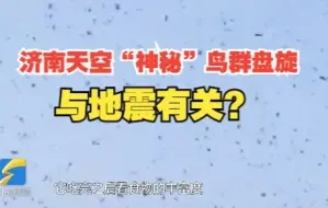 济南天空“神秘”鸟群盘旋与地震有关？专家：只是燕雀迁徙