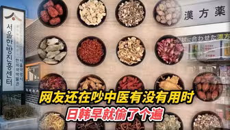 网友还在吵中医有没有用时，日韩早就偷了个遍