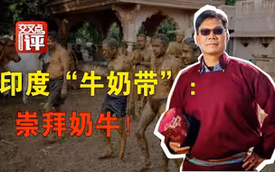 喝牛尿防新冠？揭秘：印度“牛奶带”真这么做！