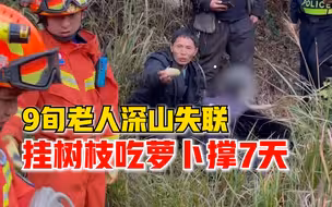 9旬老人深山失联吃萝卜撑7天：挂树枝上，获救后下山途中唱民歌