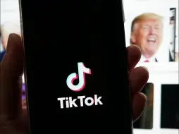 特朗普要求美国最高法院暂停执行TikTok强制出售令