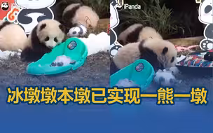 冰墩墩本墩已实现一熊一墩