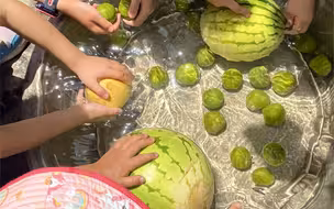 “夏日 蝉鸣 西瓜 老家 童年 已经开始期待夏天了～”