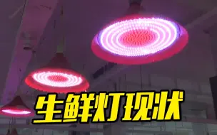 摘掉肉菜“美颜滤镜”！12月起禁用“生鲜灯” ，各地提前展开排查