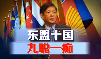 东盟十国，九聪一痴，菲律宾试图挑战我国底线，真是不自量力！