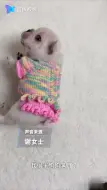萌翻了！满月小奶狗穿上新衣服秒被封印