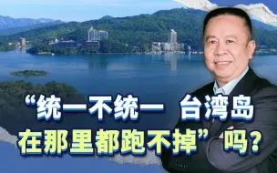 “统一不统一 ，台湾岛在那里都跑不掉”，这种言论居心不良