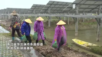 点水成“金”！兰溪这些“奇思妙想”让农民钱袋更鼓