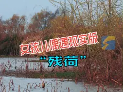 女孩儿偶遇现实版“残荷” 《新柳残荷》不是写意 是写实吧