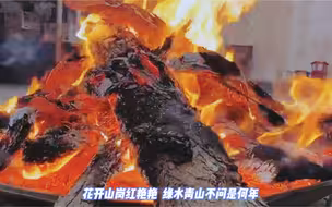 【那些美好的事，已在悄悄发生】
