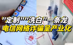 “定制”“洗白”一条龙 电信网络诈骗呈产业化