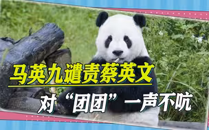 “团团”去世，蔡英文至今一声不吭，马英九直接抨击，她很过分