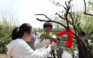 简直比招生简章还诱人！上海这所高校建1700平方米橘园，预计明年可大量采摘。