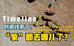 时间线来了！世界这么大 “象”都去哪儿了？