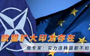为向拜登表忠？欧盟扩大印太存在，俄专家：实力太弱连韩国都不如