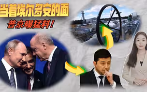 乌克兰盯上了俄土能源通道？当着埃尔多安的面，普京曝了一个大料