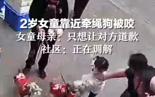 2岁女童靠近牵绳狗被咬伤，女童母亲：只想让对方道歉 社区：正在调解