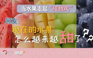 当水果走起“纯甜风” 网友：现在的水果怎么越来越甜了？？