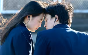 “从First Love响起开始，每一帧我都会落泪”
