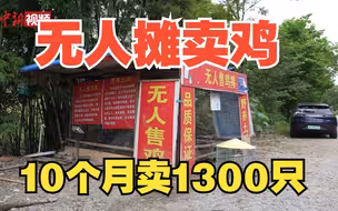 广西公路边无人售鸡摊10个月卖1300余只 无一被偷