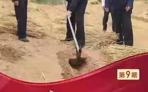 “你们就是新时代愚公” 不负总书记嘱托 让绿色奇迹代代传下去