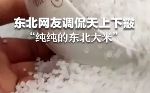 东北网友调侃天上下霰：下大米了，纯纯的东北大米！