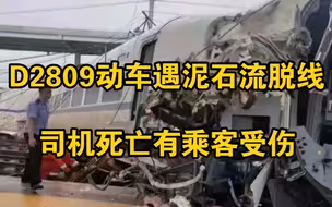 突发！D2809动车遇泥石流脱线冲向站台，司机死亡有乘客受伤
