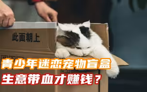 青少年迷恋宠物盲盒，商家愿冒险寄“活体”，生意带血才赚钱？