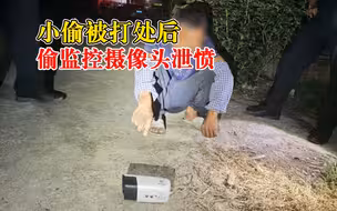 小偷被打处后偷监控摄像头泄愤：连偷带破坏，在家被抓