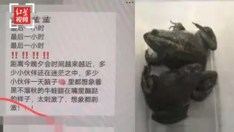 员工曝完不成业绩遭体罚羞辱 负责人：只是激励 人社部门已介入